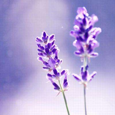 足球竞彩appapp下载截图